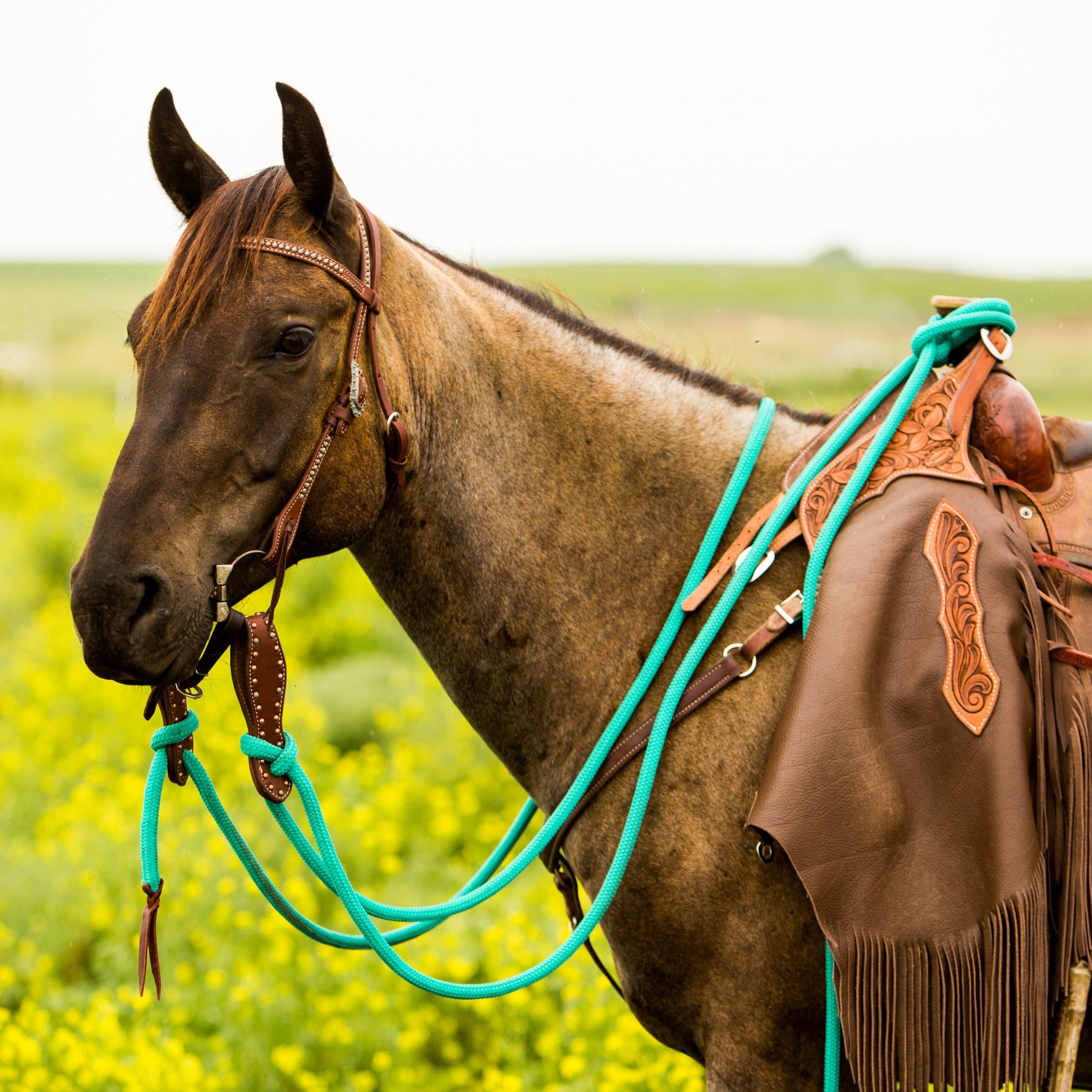 22 Ft Clinician Mecate Reins