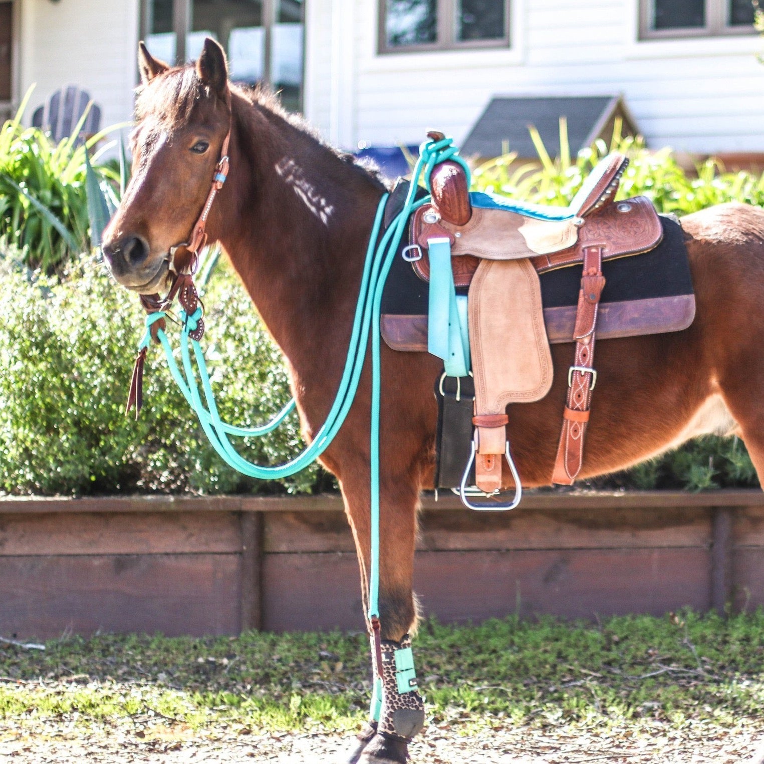 22 Ft Clinician Mecate Reins