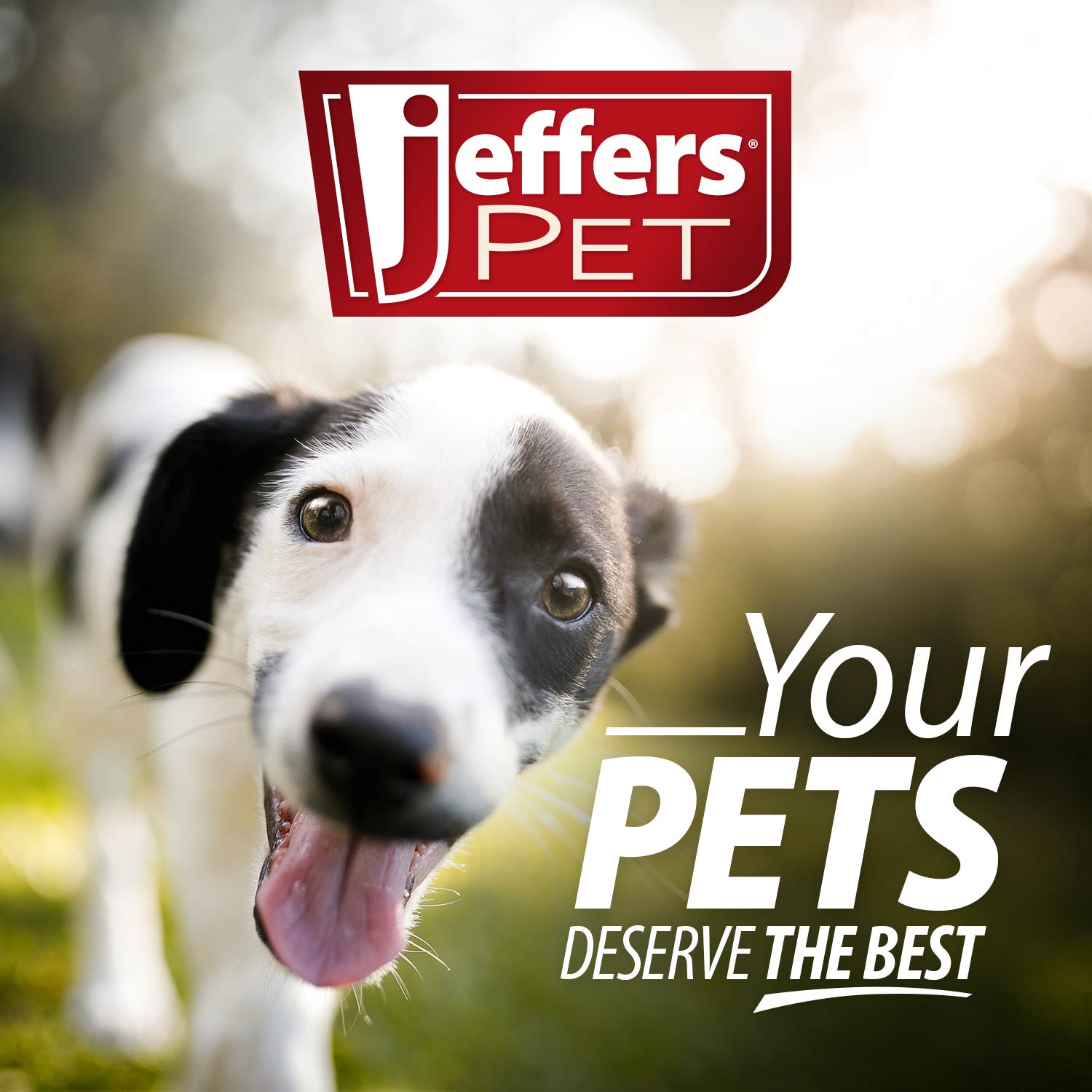 Jeffers Watermelon Natural Rubber Treat Dispensing Dog Dental Chew Toy with Vanilla Scent