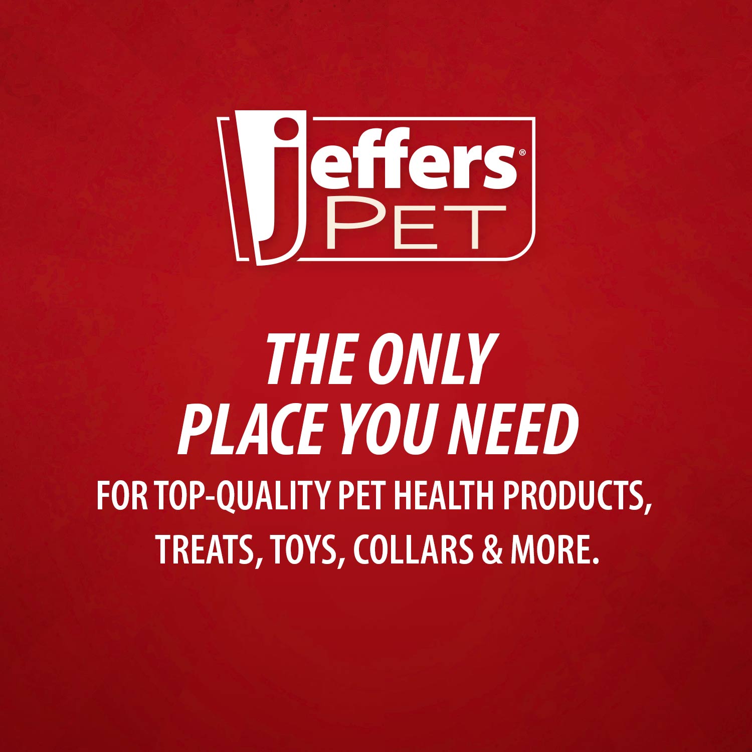 Jeffers Corn Cob Natural Rubber Stuffable Treat Dispenser Dog Dental Chew Toy