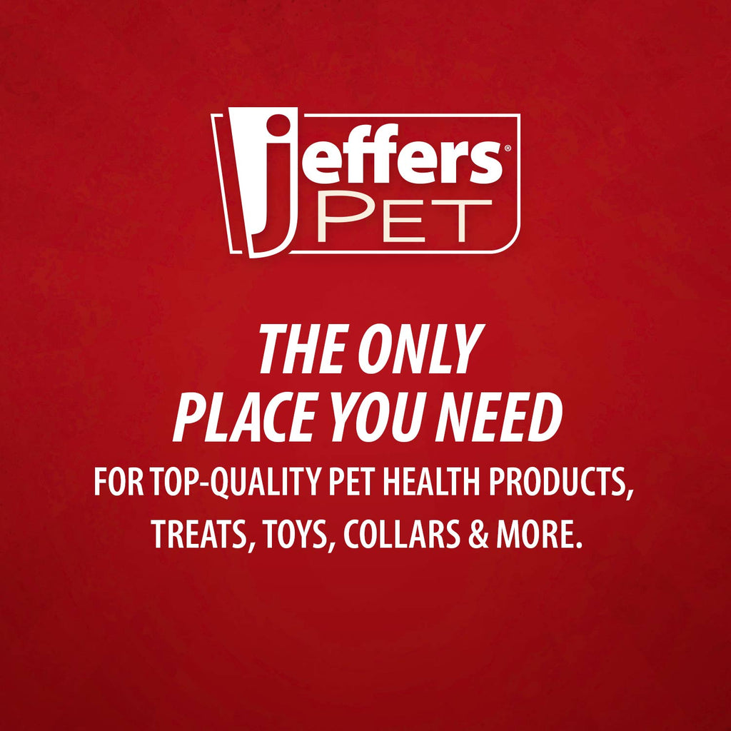 Jeffers Bowling Pin Natural Rubber Treat Dispensing Dental Chew Toy for Dogs