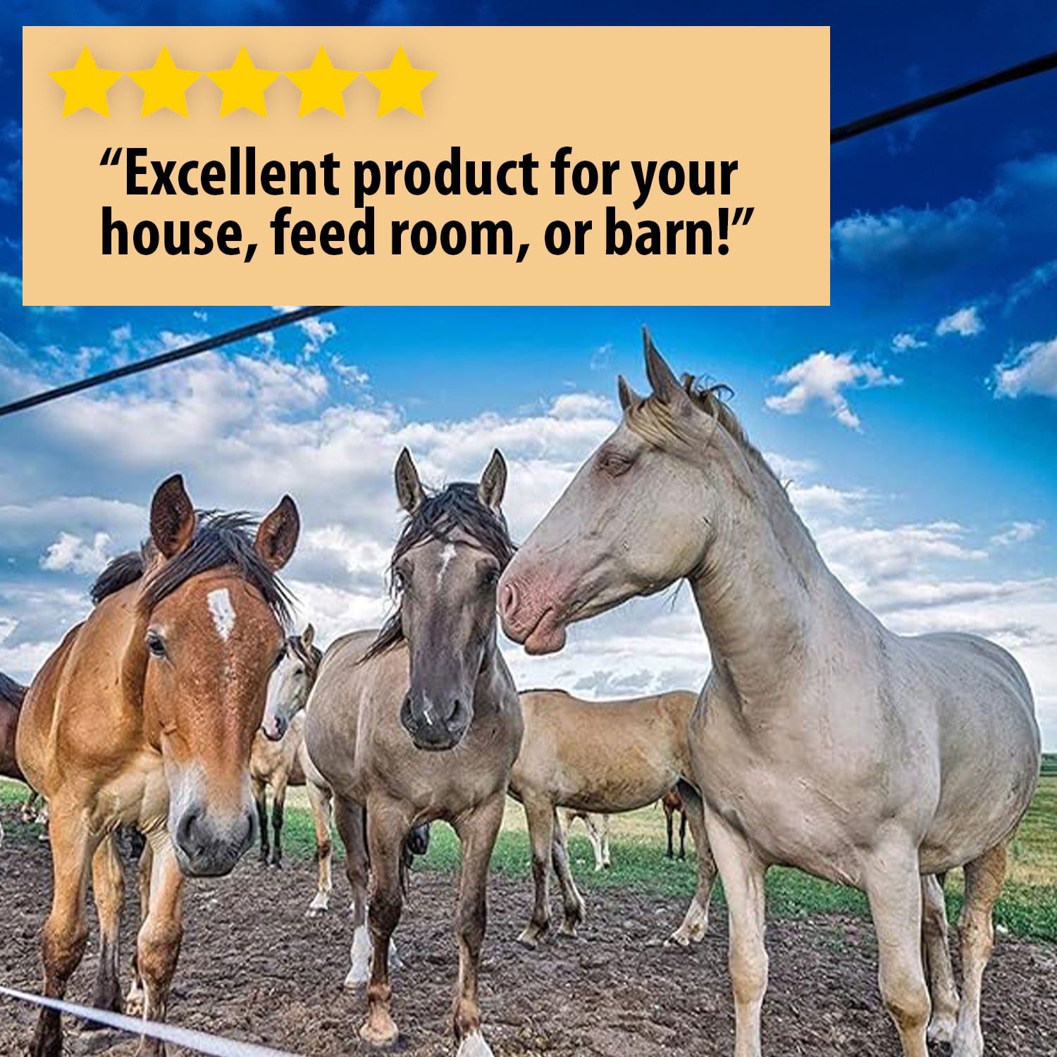 Country Vet Metered Fly Spray
