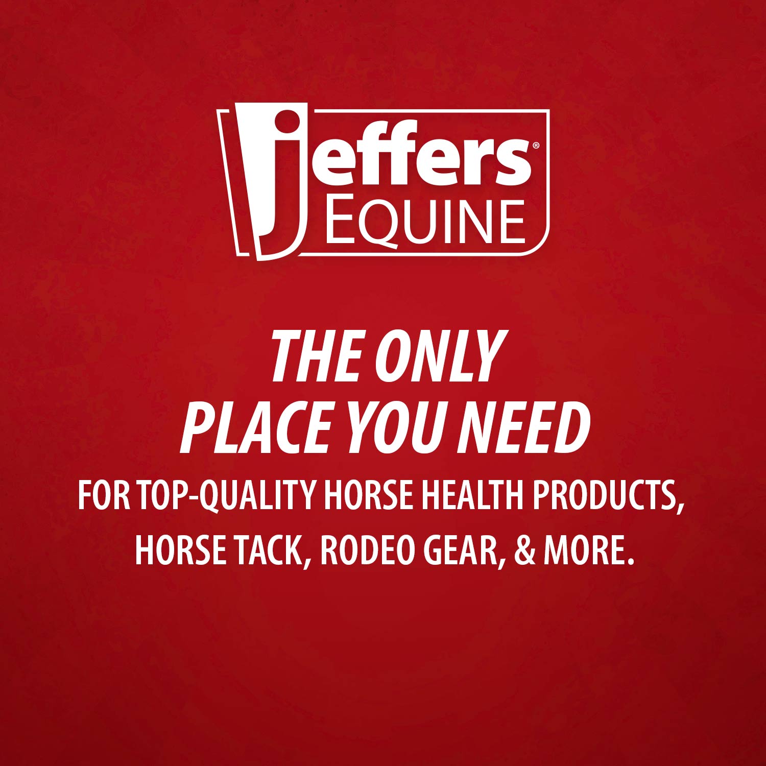 Jeffers Equine Glistening Gold All-Natural Tearless Horse Shampoo with Pure Hawaiian Coconut Oil